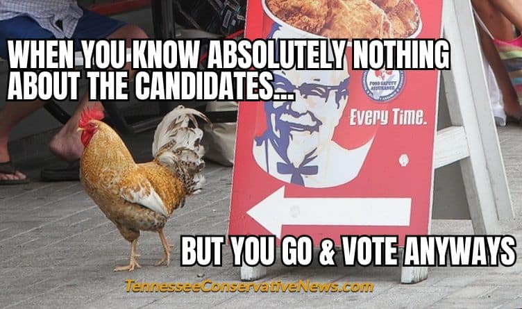 When You Know Absolutely Nothing About The Candidates... But You Go & Vote Anyways - Meme
