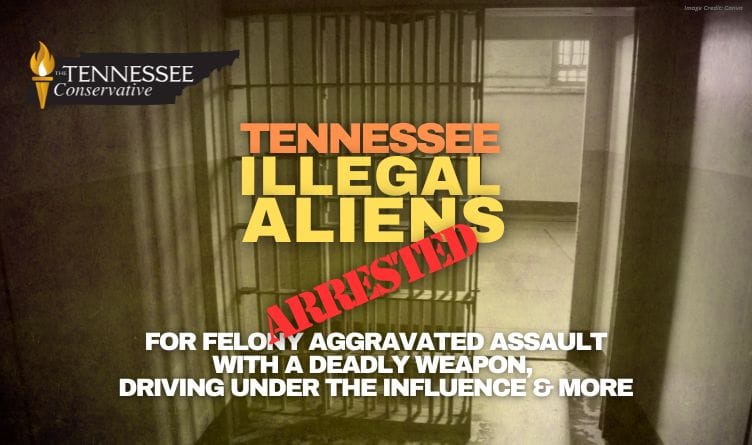 Tennessee Illegal Aliens Arrested For Felony Aggravated Assault With A Deadly Weapon, DUIs & More